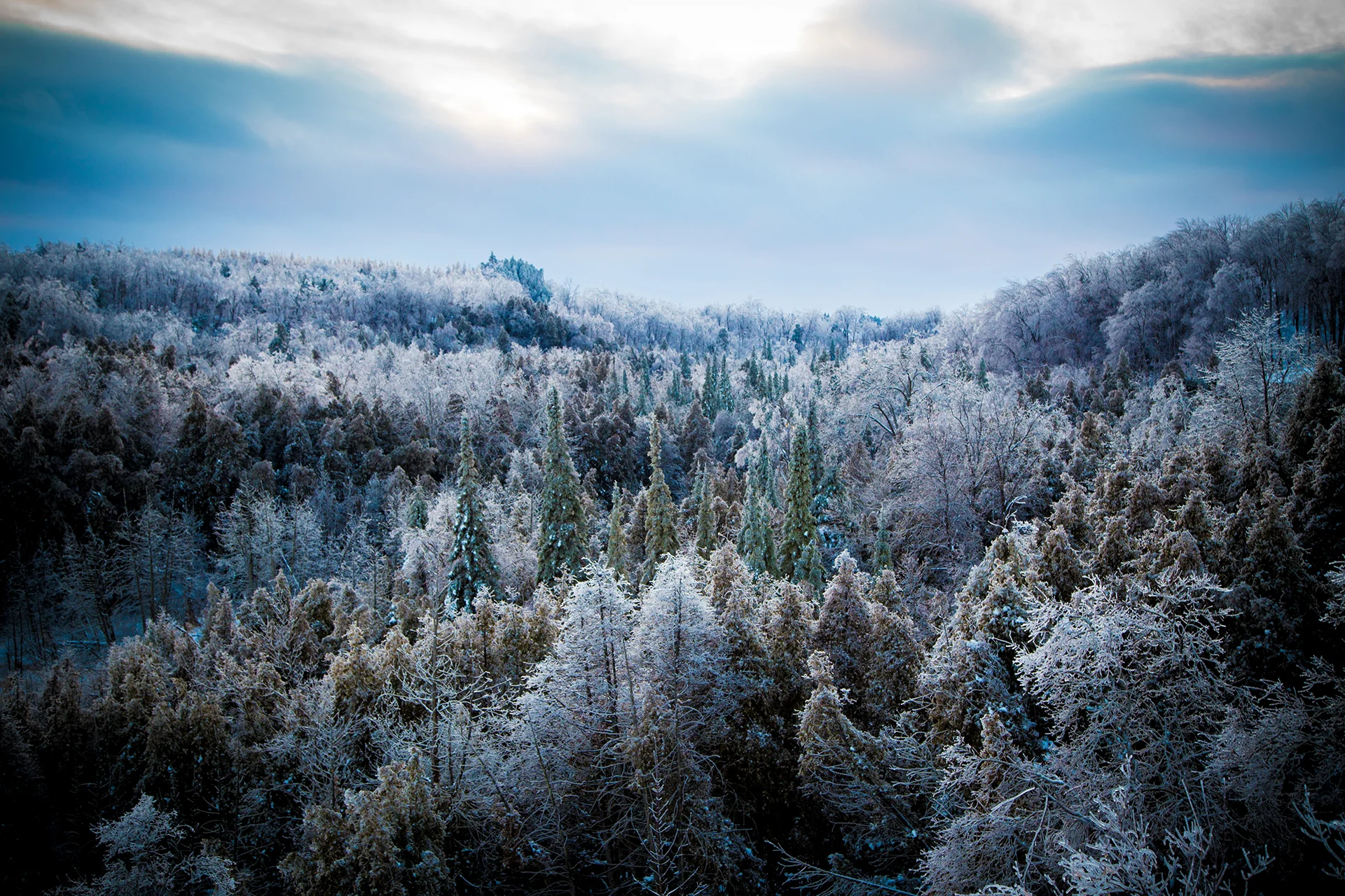 Exhibited: Mono Mills After The Storm – McMichael Gallery
