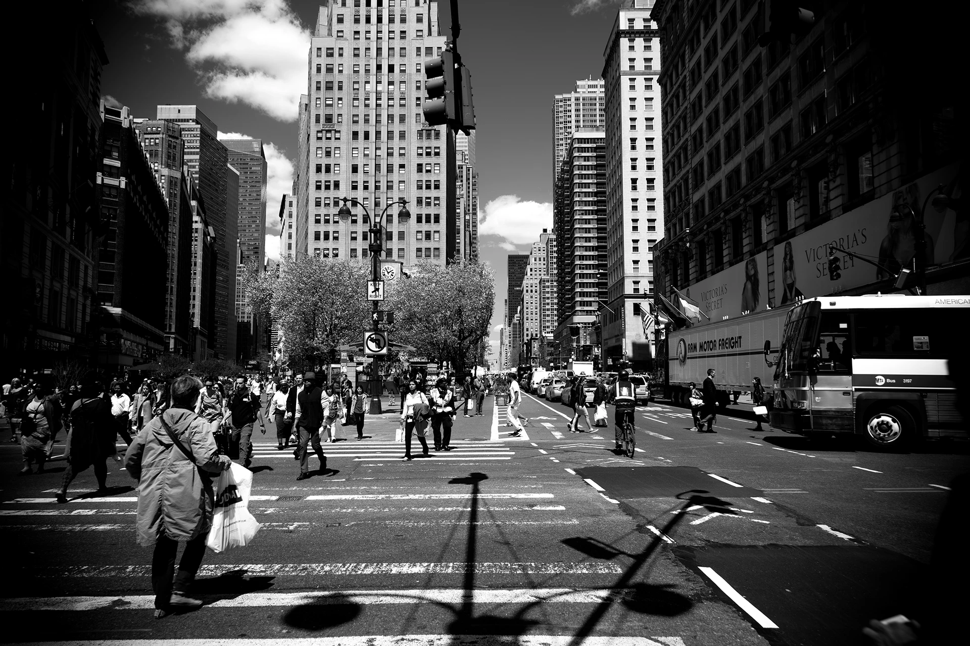 In Focus: Street Level